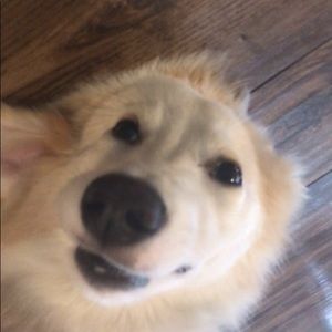 Meet your Posher, Claire